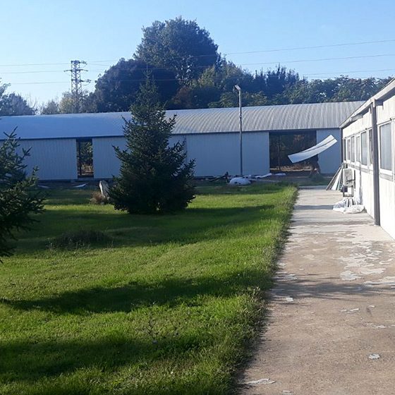 Фармавит ООД Фармавит ООД